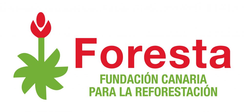 Fundacion Foresta