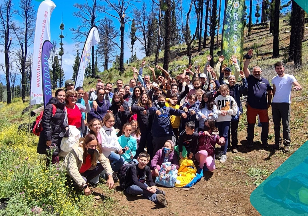 Foresta realiza una jornada de voluntariado con  la Fundación Satocan Júngel Sanjuán, la Asociación Mojo de Caña y la Asociación Síndrome de Down de Las Palmas