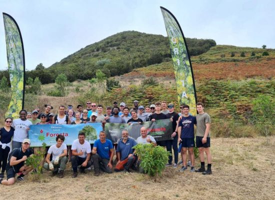 38 marines de la Armada estadounidense colaboran con la Fundación Foresta en labores de conservación en la cumbre grancanaria