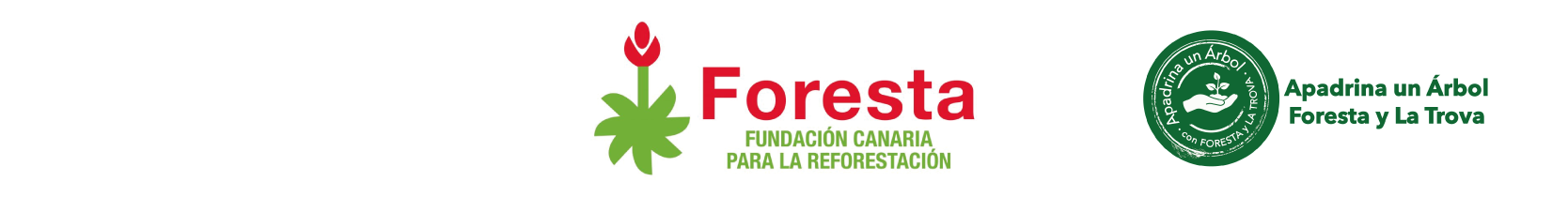 Fundacion Foresta